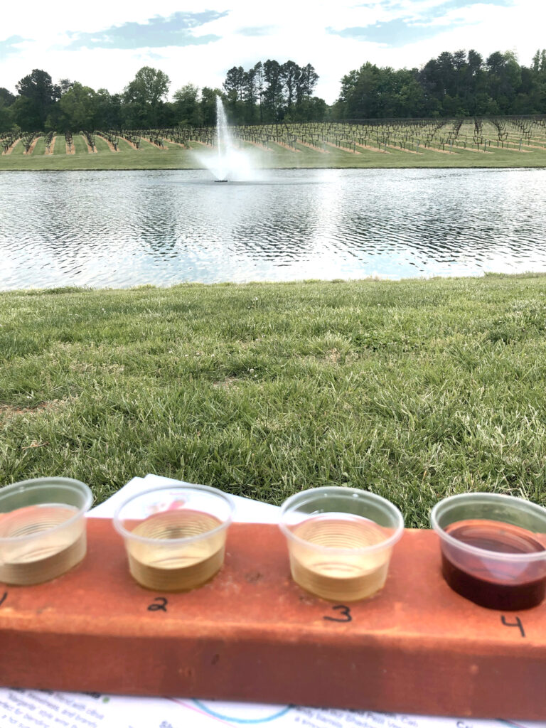 View from Shadow Springs Vineyard in Selection of wine from Laurel Grey Vineyard in Yadkinville Wine Country